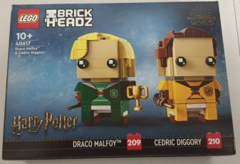 Lego 40617 Draco Malfidus™ en Carlo Kannewasser
