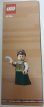 Lego 40766 Eerbetoon aan Jane Austen (9)